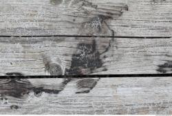 Photo Textures of Wood Planks